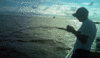 10-19-31.gif