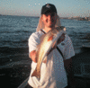 10-22-08.gif