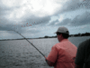10-23-1.gif