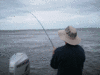10-31-2.gif