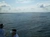 100_0194.JPG