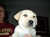 100_0424.JPG