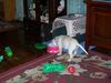 100_0426.JPG