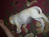 100_0428.JPG