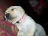100_0429.JPG