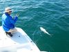 100_0449.JPG