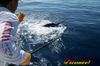 100_1154.jpg