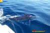 100_1159.jpg