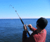 11-18-5.gif