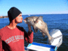 11-18-7.gif