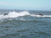 11-26-31.gif