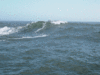 11-26-5.gif