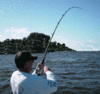 11-8-11.gif