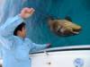 1122jewfish_picaasss_003.jpg