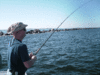 12-14-3.gif