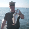 12-14-8.gif