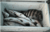 12-15-11.gif