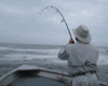 12-15-4.gif
