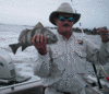 12-15-5.gif
