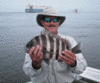 12-15-8.gif