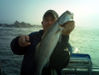 12-16---8-pounder2.jpg