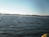 12-17-1.gif