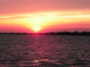 12-21-1.gif