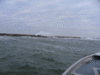 12-23--jetties-1.gif