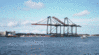 12-29-2.gif