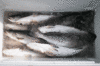 12-4-1.gif