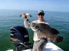 16_75_tripletail1.jpg