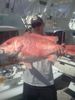 18_lbs_snapper.jpg