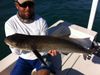 1cobia.jpg