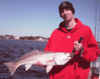 2-20-2010-Tagged-Red.gif