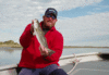2-4-superfish-sunday-4.GIF