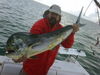2009-05-22-Dolphin-01.jpg