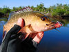 2009_11_16_0286_edited-1.jpg