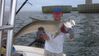2011-07-07_09-44-06_827.jpg