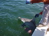 20110818_08.JPG