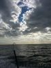20121206_085449_wm.jpg