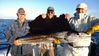 2014-03-13-01.jpg