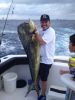 2014-03-22-mahi-mahi.jpg