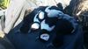 20151123_081742.jpeg
