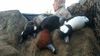 20151218_071413.jpeg