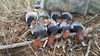20160116_133532.jpeg