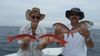 20160516_1602251.jpeg