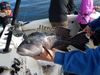 20170112_094534.jpg