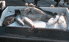 3-12-3.gif