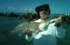 3-15-5.gif