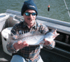 3-16-speckled-trout-5.gif